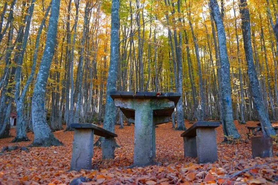 Göldağı